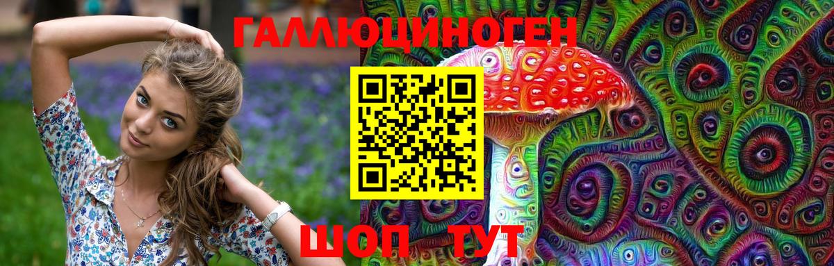 Заинск  Галлюциногенные грибы Psilocybe  Вход с VPN 